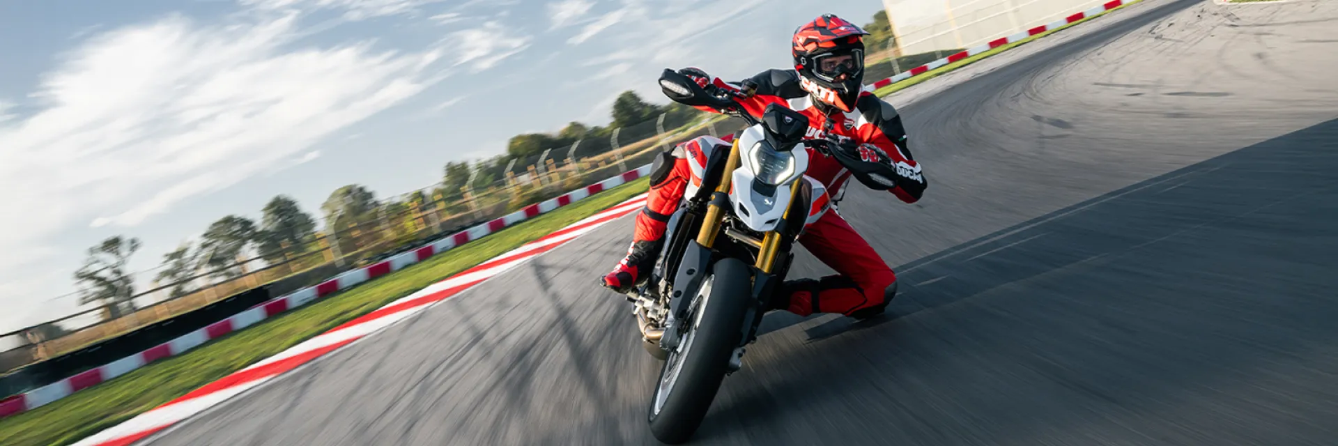 BROWSE DUCATI